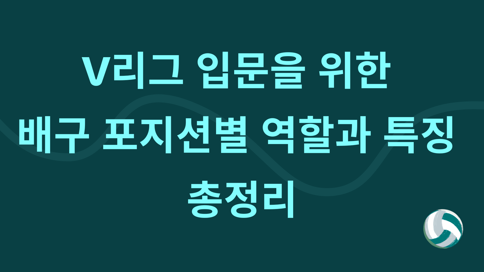 V리그 입문을 위한 배구 포지션별 역할과 특징 총정리